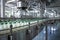 Milk Bottling Line at Dairy Production Plant. AI