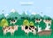 Milk farm concept. Cows green field background. Vector