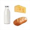 Milk in glass bottle. Fresh baked crusty bread. Yellow swiss slice of cheese. Cheddar cheese with holes. Dairy food set. Vector