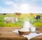 Milk jug and curd cheese bowl over sunny cows meadow