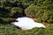 Milk Lake near Jingshan Bridge near Qingtiangang Grassland, Yangmingshan,