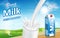 Milk pouring down with splash isolated on bokeh background with cows. Paper carton milk products package design. dairy