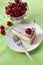 Milk souffle (bird\'s milk) cake