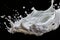 Milk or white liquid splash isolated on black background with elegant swirling patterns