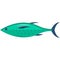 Milkfish vector aquaculture illustration isolated on white