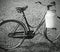 milking bike with bin for milk transport  with balck and white e