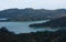 Milky blue color of a sea, with some trees in New Zealand seen from a lookout point