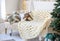 A milky-colored blanket with a large knit on a cozy sofa. New Year\\\'s interior