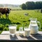milky morning on dairy glass jug of milk and jar of cream on wooden A