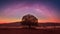 Milky way above the alone tree in the field at  Thung Kamang nature park, Chaiyaphum, Thailand