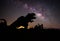 The Milky Way Dinosaur in Anza Borrego, California