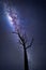 Milky Way galactic core shining brightly over old dead tree