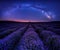 Milky Way Galaxy above a lavender field