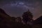 Milky Way galaxy constellation seen in the dark near a sharp rock and a tree in the foreground