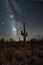 Milky Way Galaxy rising behind Saguaro cactus in Arizona