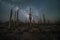 Milky Way galaxy rising behind Saguaro Cactus in the desert