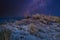 Milky Way on the high dune at the darss. National Park in Germany. Sand beach