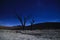 The Milky Way and the night sky over the Namib Desert, Sosusfleu Park.