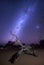 Milky way over a dead tree trunk in the Namib desert of Namibia