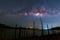 Milky way over dead trees