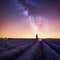 Milky Way over lavender field in Provence France
