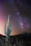 Milky Way over Saguaro Cactus