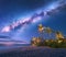 Milky Way over the sandy beach with palm trees and sunbeds