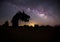 The Milky Way Serpent in Anza Borrego, California