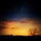 Milky way and stars over night forest. Silhouettes of trees.