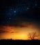 Milky way and stars over night forest. Silhouettes of trees.