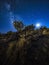 The Milky Way Stretches Behind a Scrub Oak Tree in the Colorado National Monument