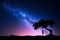 Milky Way with tree and a woman practicing yoga