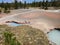 Milky white blue pools at Yellowstone National Park