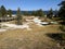 Milky white and greenish blue pools at Yellowstone National Park