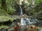 Mill Gill Force is one of the Yorkshire Dales National Park`s secret gems