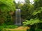 The Millaa Millaa falls