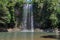 Millaa Millaa Falls in Atherton Tablelands, Australia