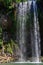 Millaa Millaa Falls in Atherton Tablelands, Australia