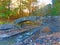 Millard Fillmore Glen State Park stone bridge NYS
