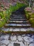 Millard Fillmore Glen State Park stone staircase steps
