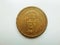 Millard Fillmore portrait on one dollar coin
