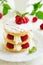 Millefeuille with raspberry