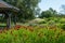 The Millennium Garden at Pensthorpe Natural Park, Norfolk UK, designed by Piet Oudolf.