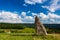 Millennium menhir on the hill