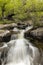 Miller Creek Waterfall & Footbridge