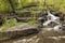 Miller Creek Waterfall & Footbridge