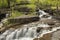 Miller Creek Waterfall & Footbridge