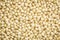 Millet grain life size background