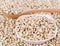 Millet rice, millet grains on white background