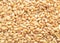 Millet wheat